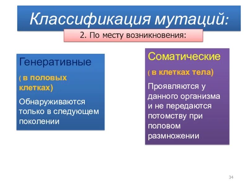 Потомству не передаются мутации