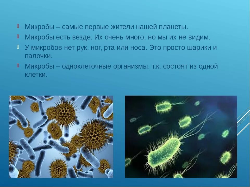 Тема бактерии и вирусы 5 класс. Бактерия. Микробы. Вирусы и бактерии. Вирусы бактерии микробы.