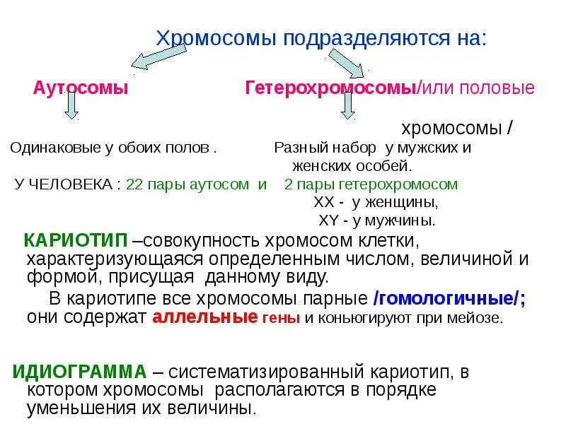 Понятия половые хромосомы. Половые хромосомы (гетерохромосомы) это. Типы хромосом аутосомы половые хромосомы. 22 Пары аутосом и 2 половые хромосомы.