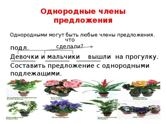 Предложение с однороными подлежащим. Предложение с однородными подлежащими. Предлоджени с одеородными подоежашиими. Однородное подлежащее предложение.