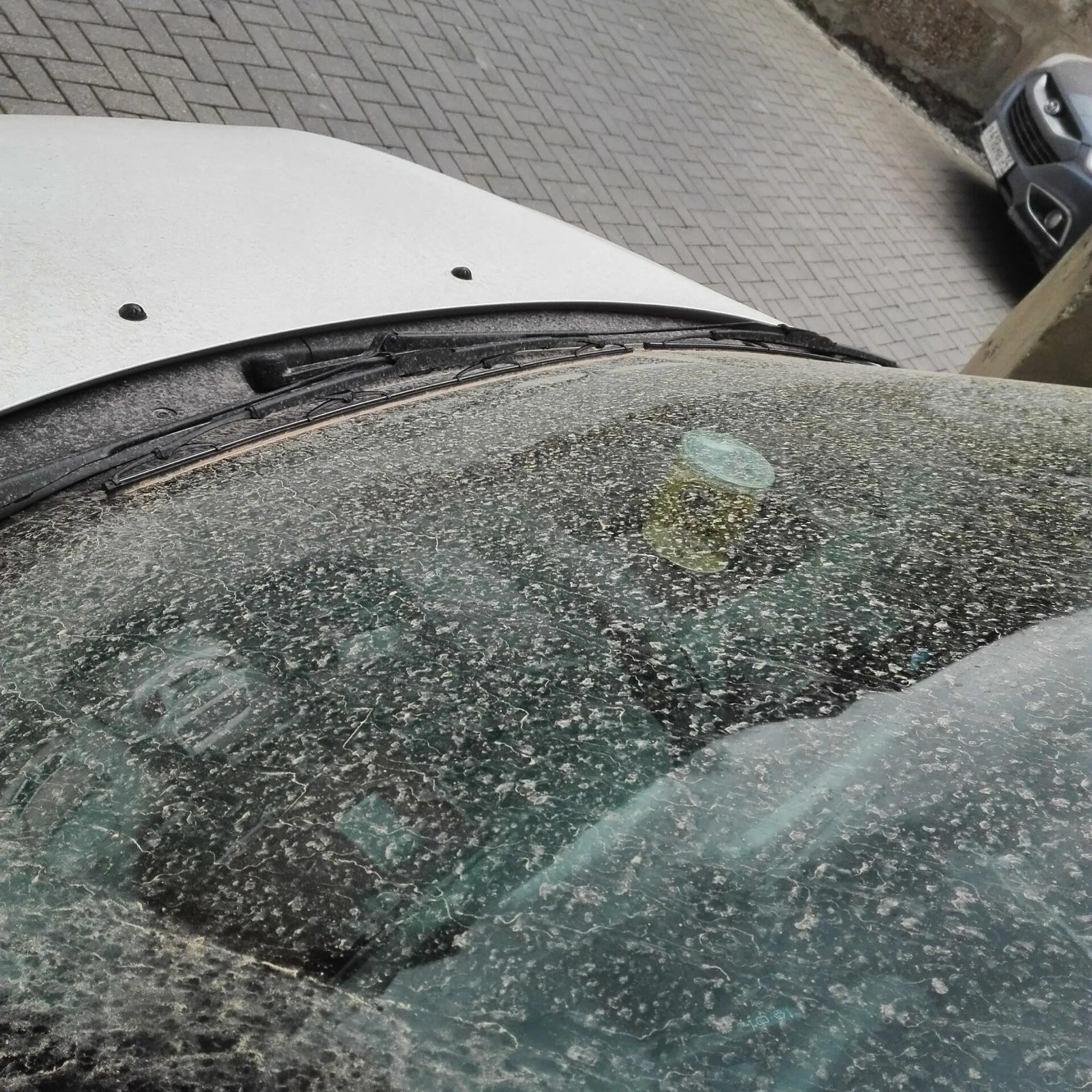 Почему после дождя пыль. Цементная пыль на автомобиле. новороссийск пыль. ржавый дождь. дождь и ржавчина.