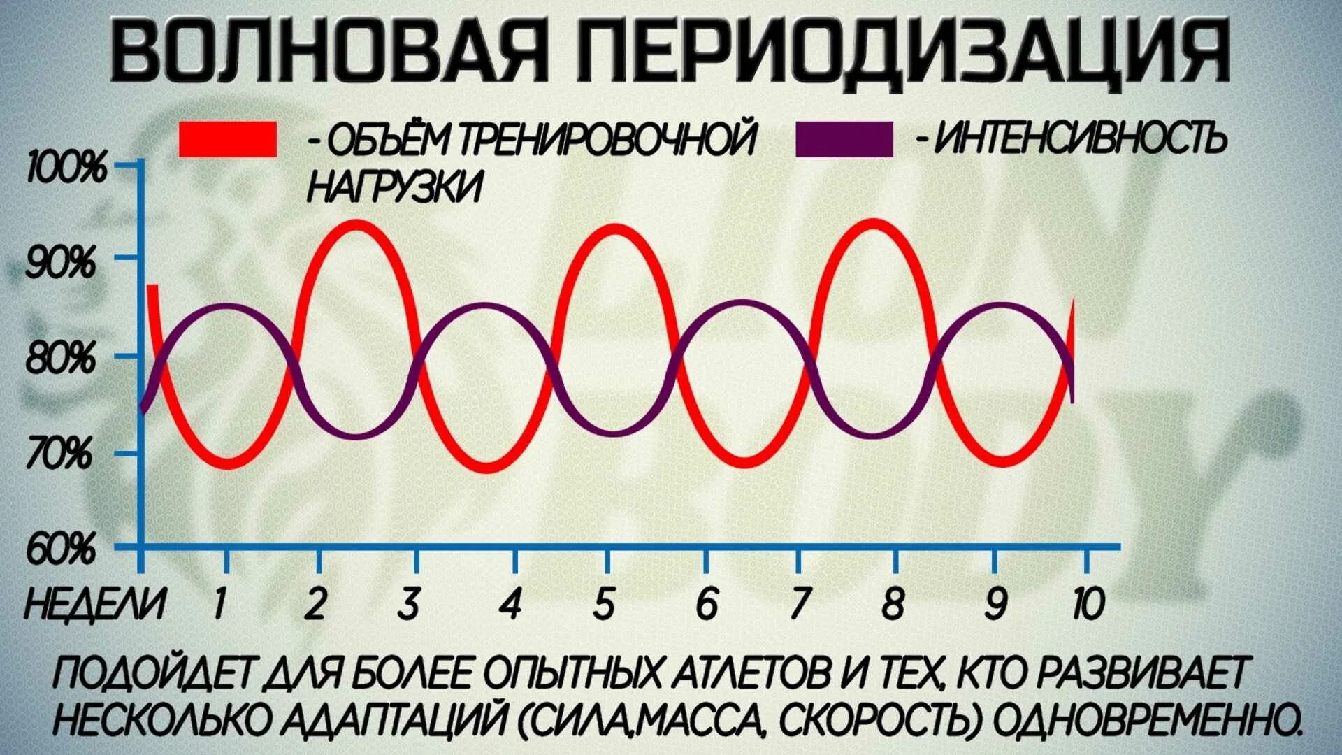Линейные тренировки пример