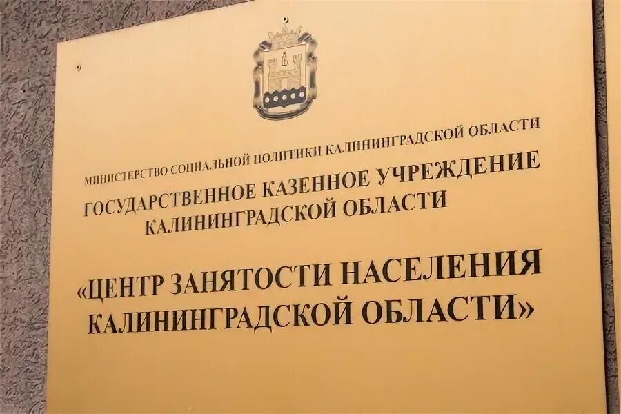 Муниципальные учреждения калининградской области. Центр занятости населения Калининградской области. Биржа труда Калининград. Общественное учреждение Калининградской области. ГКУ ко центр занятости населения Калининградской области Черняховск.