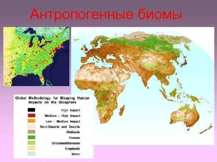 Биомы суши. Биомы России. Биом примеры. Карта биомов России.