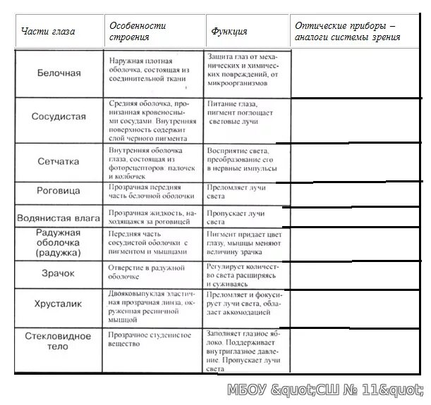 Таблица строение анализаторов 8 класс. Таблица структура глаза строение функции. Строение и функции глаза таблица. Зрительный анализатор строение и функции таблица. Таблица зрительный анализатор 8 класс.