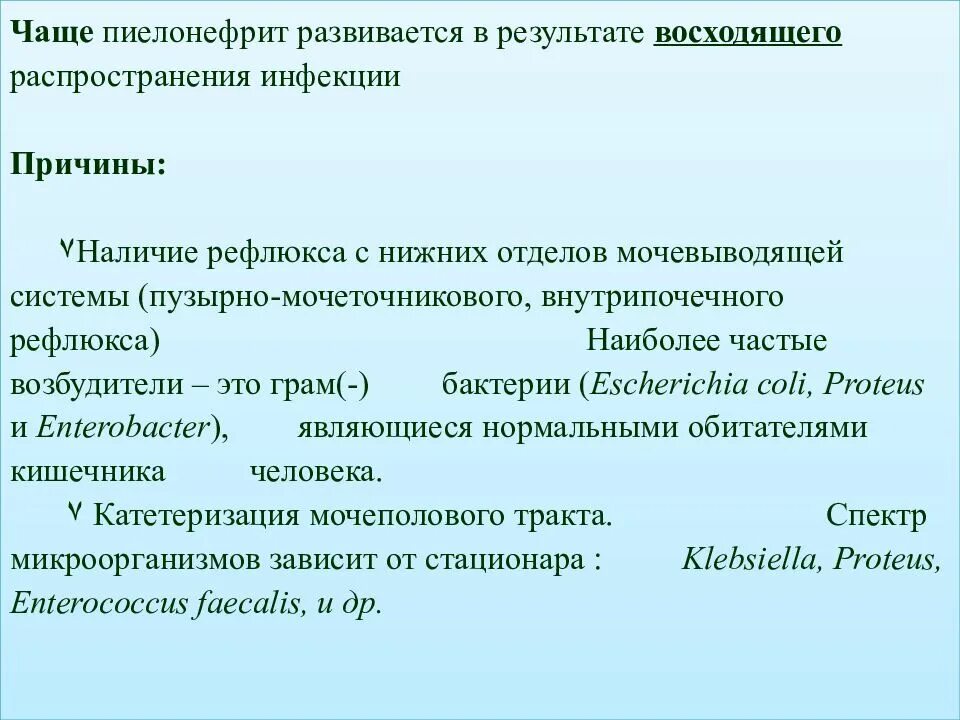 Наиболее частая причина хронического пиелонефрита. Наиболее частый возбудитель пиелонефрита. Острый пиелонефрит возбудитель. Наиболее часто вызывает пиелонефрит.