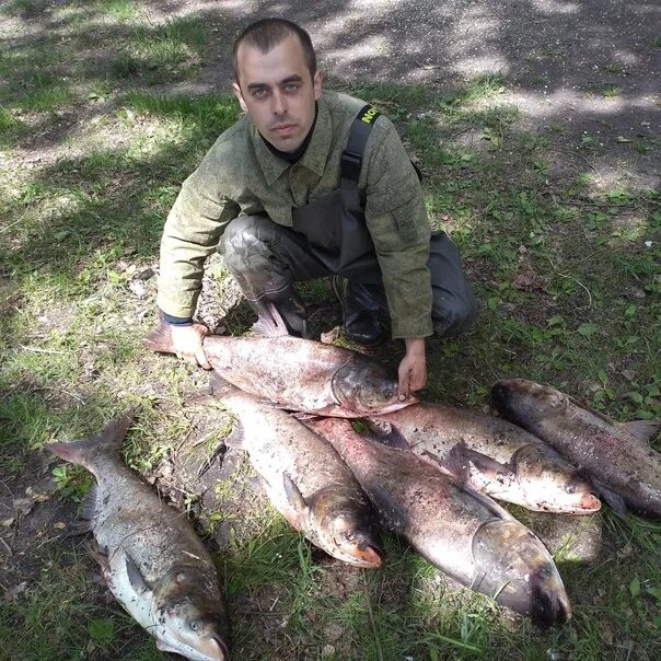 Пруд орловский пензенская область. Пруд в жилево. Пруд сотниково орел. Пруд орел рыбалка. Пруд кунач орловская область.