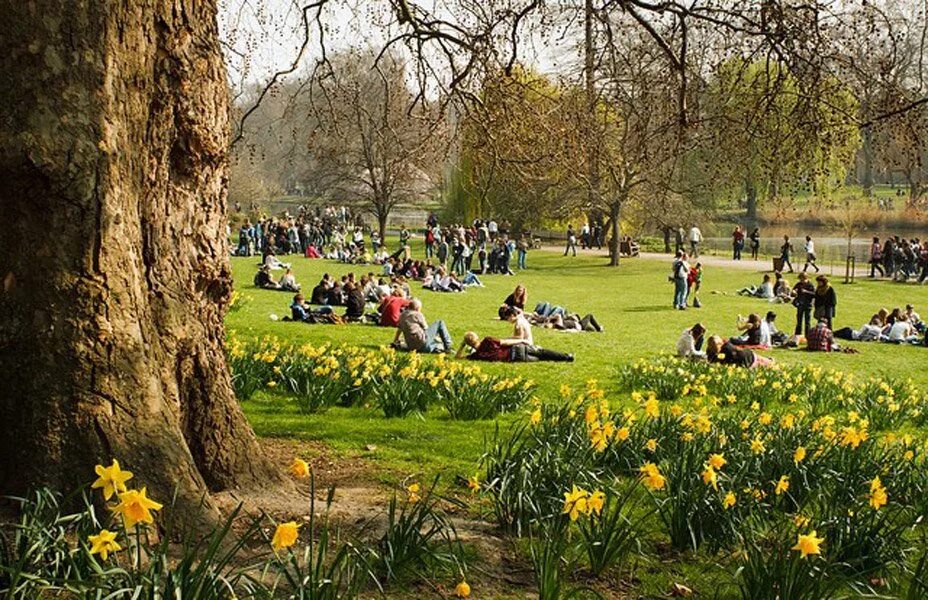 King s park day. Парк Святого Джеймса. Лондон парк св Джеймса.