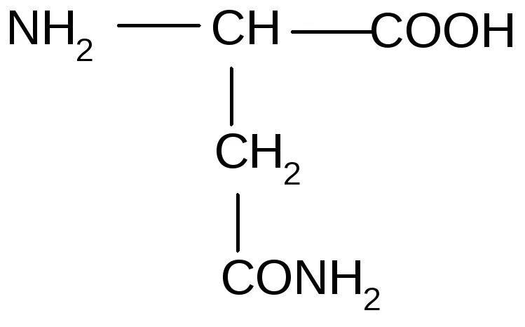 D l п. Глутаминовая аминокислота формула. Кислота глютаминовая формула. Глутаминовая кислота структурная формула. Аспарагин аминокислота формула.