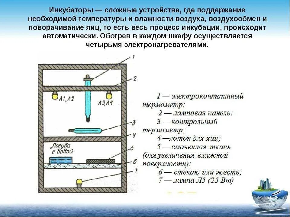 Схема устройства инкубатора. Инкубатор для яиц ИБ-2 электрическая схема. Схема промышленного инкубатора. Схема самодельного инкубатора. Как доливать воду в инкубатор