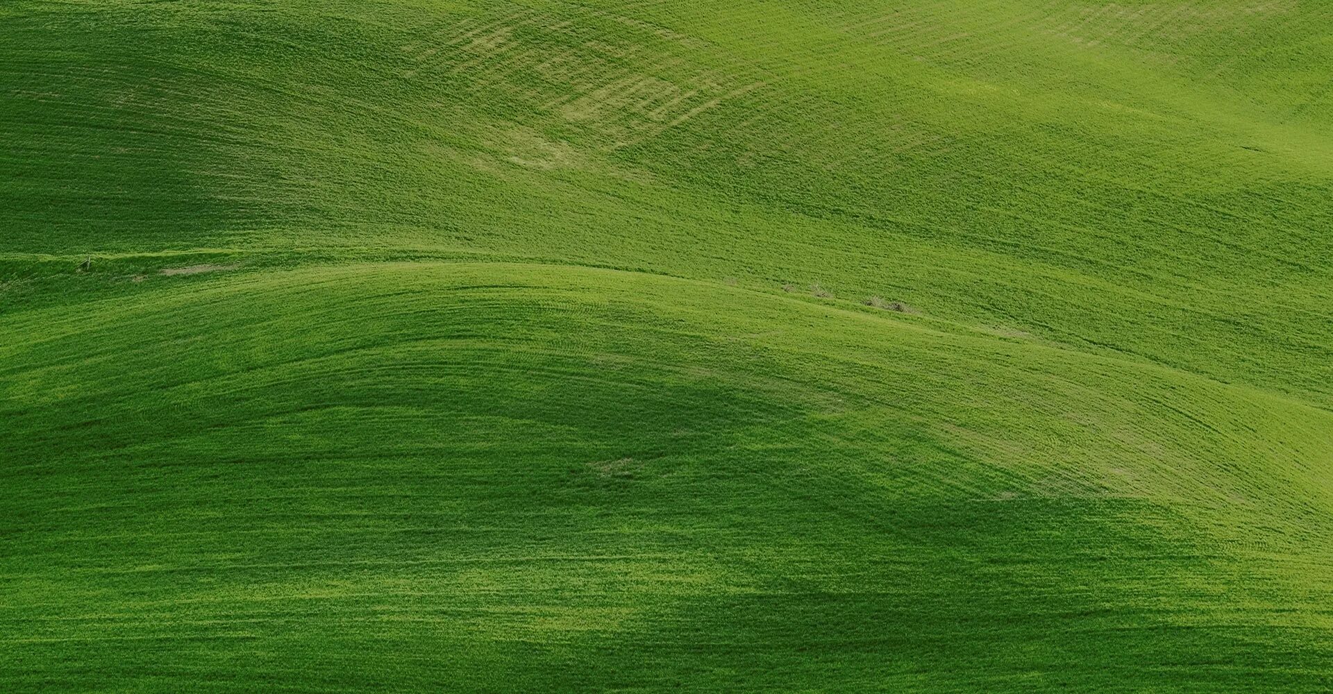 Natural 1.0. Зеленый пейзаж. «Зеленые холмы». Зелёный пейзаж сверху. Зеленые горы.