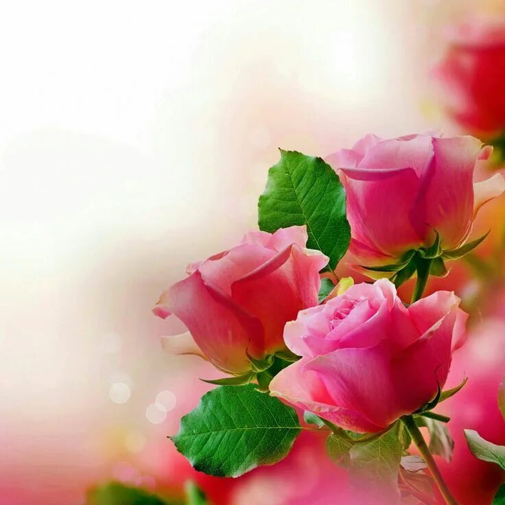 Соболезнования на татарском языке. Ихлас. Әрвахларга дога. Татарский дога. Эрвэхлэргэ дога.