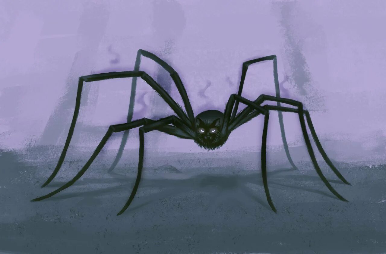 Включи кот паук. Джейба Фофи гигантский паук. Скорпионохвостый паук.