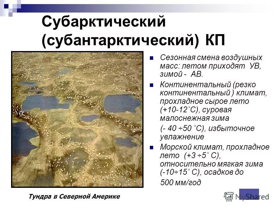 Субарктический климатический пояс. Субарктический пояс характеристика. Описание субарктического климата. Карта климатических поясов сибири. Субарктический пояс характеристика.
