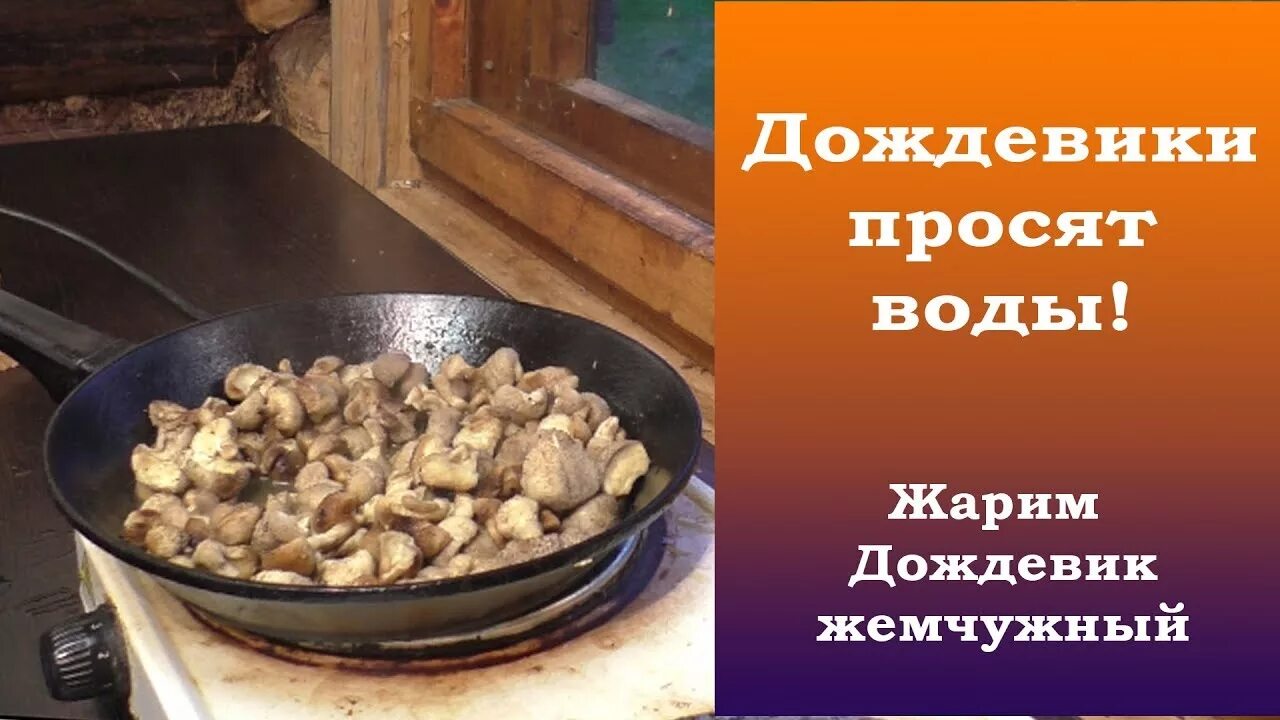 Как жарить дождевики грибы на сковороде. Жареные дождевики. дождевик гриб жареный. гриб дождевик. жареная вкуснятина. как жарить дождевик.