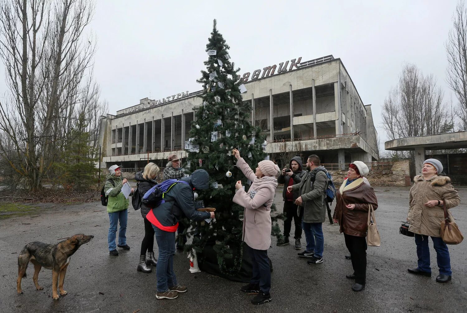 Что было после чернобыля