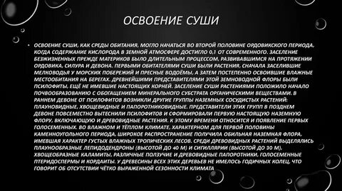 Сушь значение слова