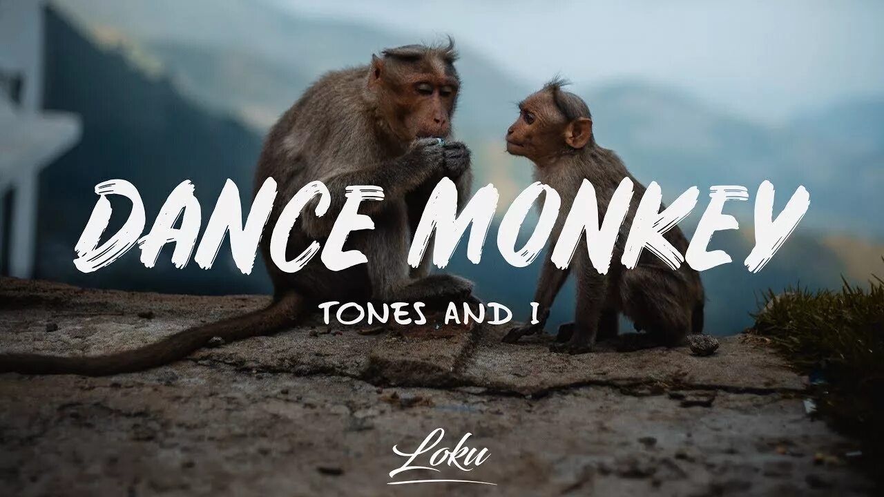 Dance Monkey. Дэнс манки. Dance Monkey Tones and i. Dance Monkey обложка. I can dance chimp