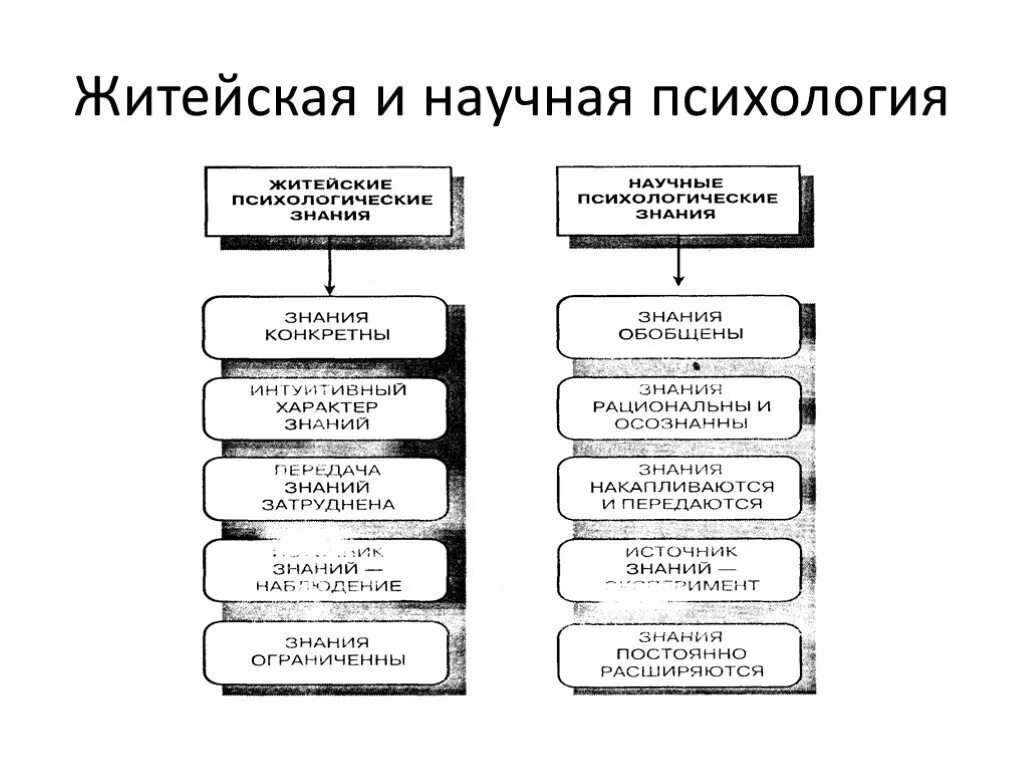 Соотнесите понятия житейская и научная психология. Различия житейской и научной психологии таблица. Сравнительный анализ житейской и научной психологии таблица. Отличия житейской и научной психологии по Гиппенрейтер. Житейская наука