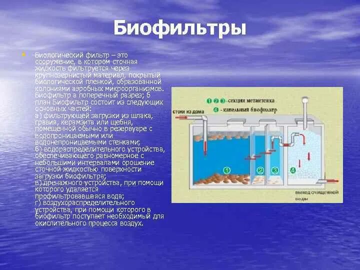 Как происходит очистка воды. Биологическая фильтрация очистных сооружений. Биофильтр сточных вод. Биофильтры для очистки воздуха схема. Биологическая очистка сточных вод биофильтры.