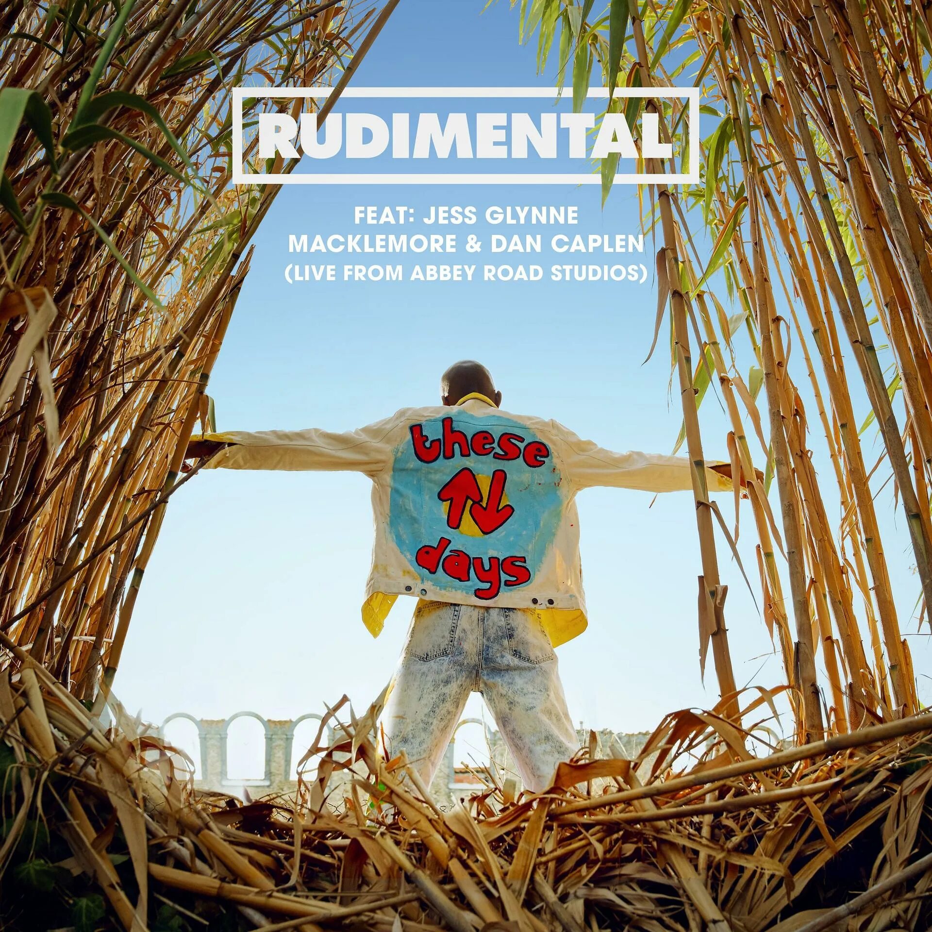 These days are ours zetandel. Rudimental & Jess Glynne & Macklemore & dan Caplen - these Days. Macklemore dan Caplen. Rudimental feat. Jess Glynne. These Days Rudimental.