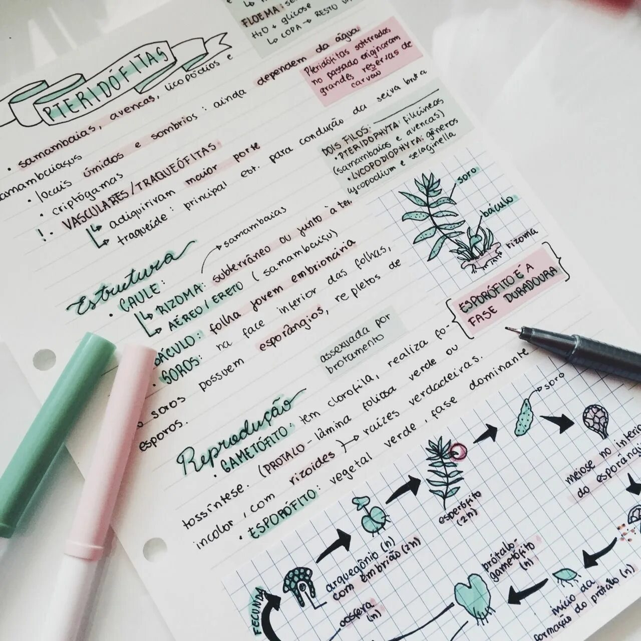 Study note