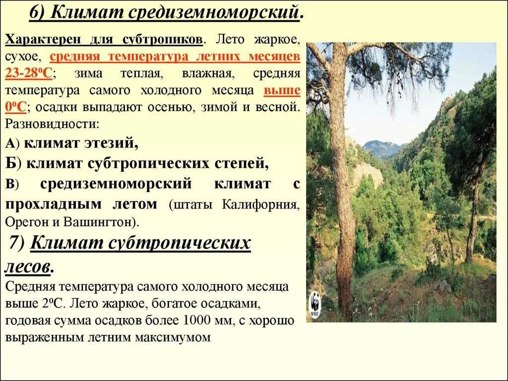 Теплым и влажным летом и