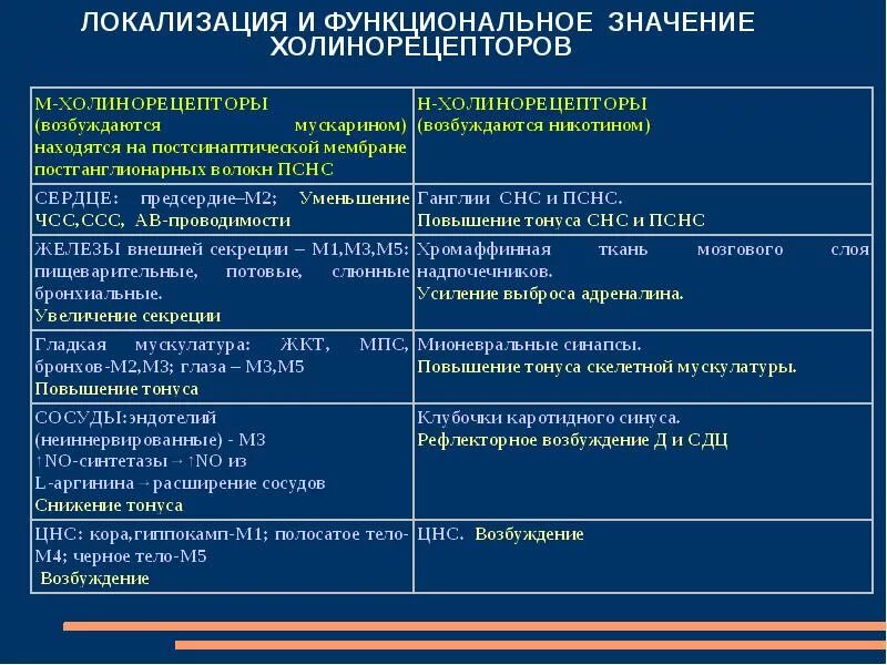 Локализация холинорецепторов. Лекарственные средства влияющие на эфферентную иннервацию. Средства влияющие на эфферентную нервную систему фармакология. Средства влияющие на 'фферентную иннервацию. Лекарственные вещества влияющие на эфферентную иннервацию.