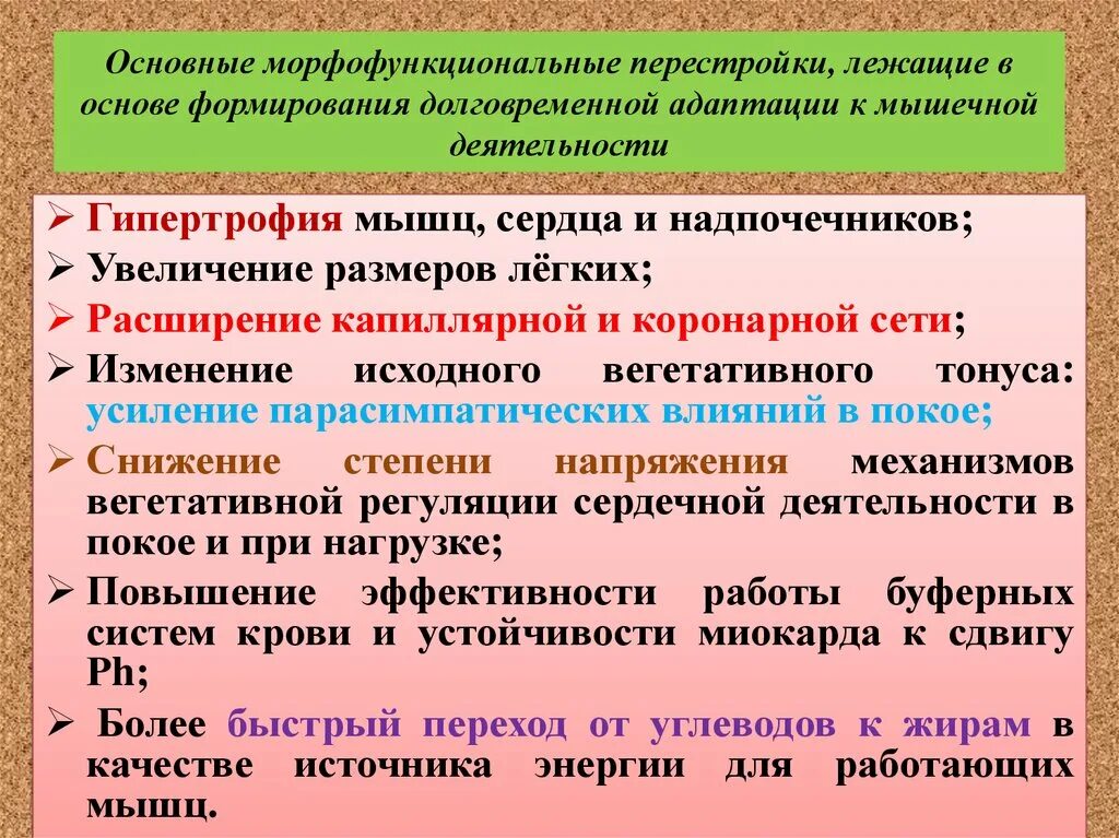 Механизм перестройки. Адаптация к мышечной работе. Долговременная адаптация к мышечной деятельности. Адаптация организма к мышечным нагрузкам стадии адаптации. Физиологические адаптации к мышечной деятельности.