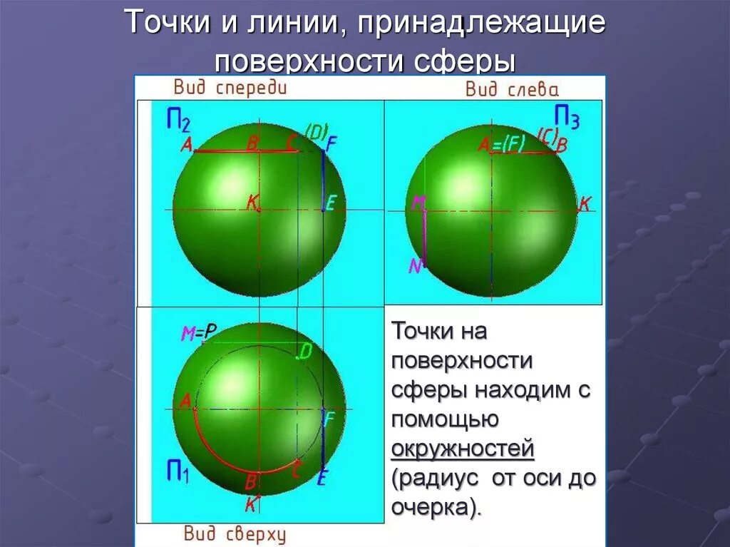 Точки на поверхности сферы. Поверхности сферы принадлежит точка. Названия линий на поверхности сферы. Линии на поверхности сферы.