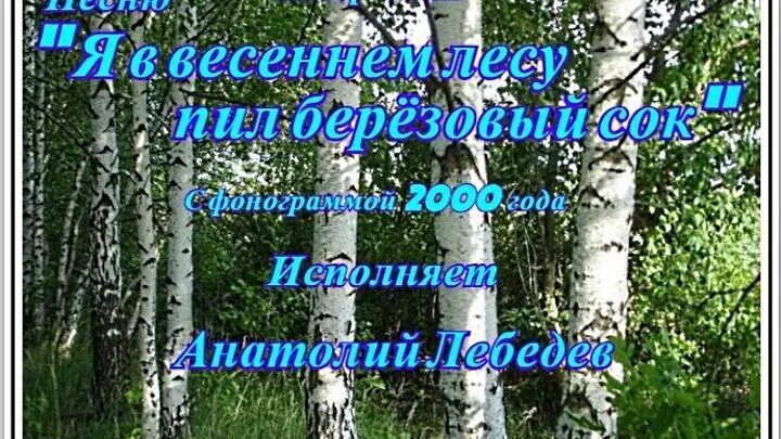 Текст песни пил березовый сок. Я В весеннем лесу пил березовый сок. Медяник я, весеннем лесу пил, березовый сок.. Пил берёзовый сок с ненаглядной.