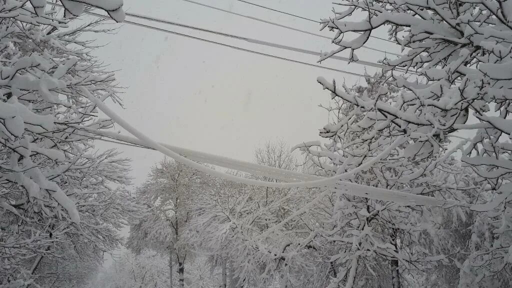 Иней на проводах. Налипание снега на провода и деревья. Налипание снега на проводах. Мокрый снег на проводах. Мокрый снег на проводах и деревьях.