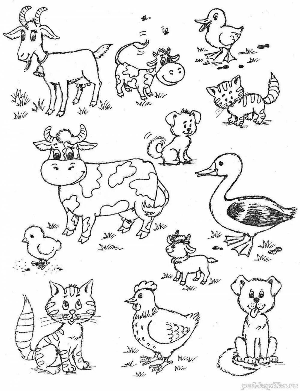 Раскраска группы животных. Животные задания для детей. Животные задания для дошкольников. Домашние животные задания для дошкольников. Рисунки животных для детей.