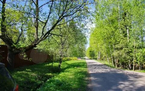 Дубки московская область