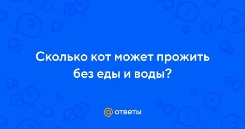 Сколько времени кошка может прожить без еды