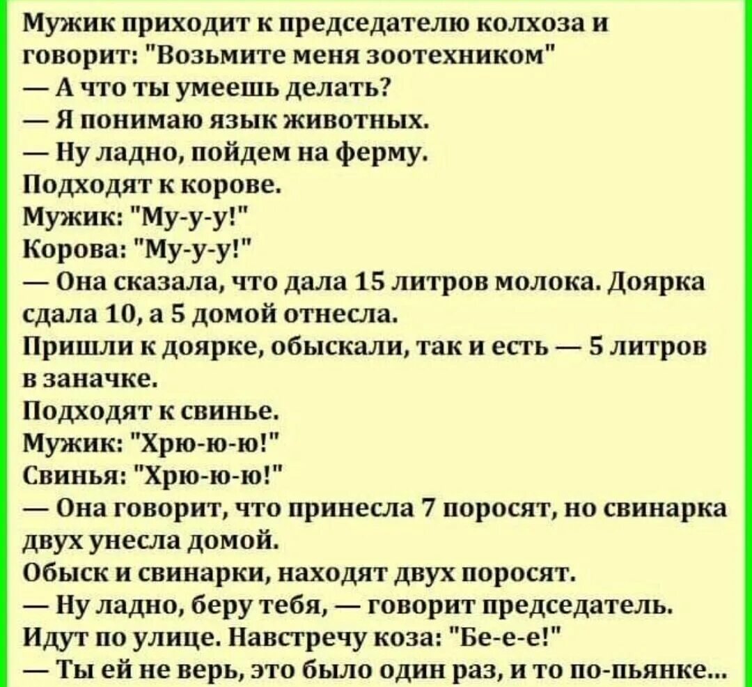 Скажи председатель песня текст. Анекдоты про колхоз. Смешные анекдоты про колхоз. Шутки про зоотехников. Анекдот про председателя колхоза.