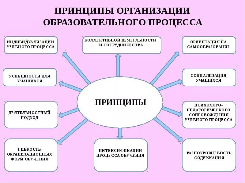 Принципы организации педагогического процесса. Организационные формы учебного процесса. Педагогические формы организации учебного процесса. Специфика форм организации учебного процесса. Воспитательные принципы в школе