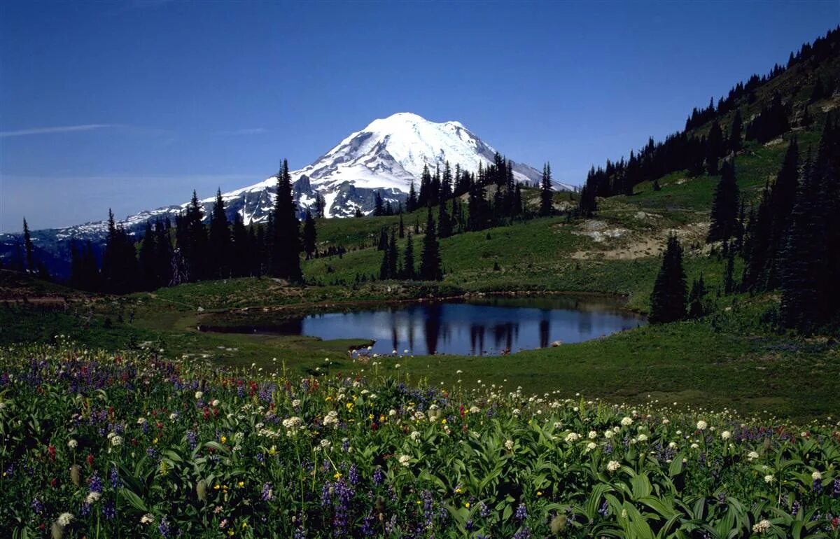 7 национальных парка. аллея роз кисловодск. кисловодский национаьный рк. национальный парк кисловодский и долина роз. кисловодский курортный парк долина роз.