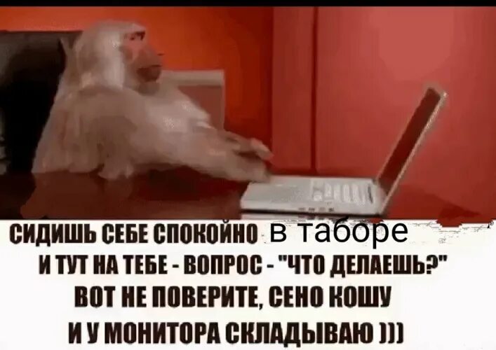 Тут так себе вайб видимо пора. Сено кошу и у монитора складываю. Сидишь спокойно в Одноклассниках. Не поверишь сено кошу и у монитора складываю. Сидела себе спокойно.