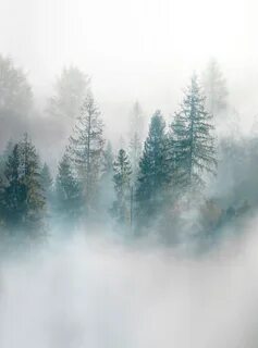 Фреска туман