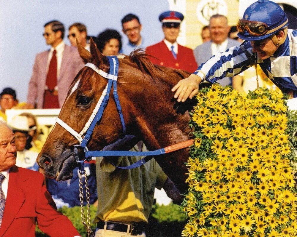 Центральный секретариат. Secretariat Preakness stakes. Секретариат лошадь. Рекорд секретариата. Секретариат фото.