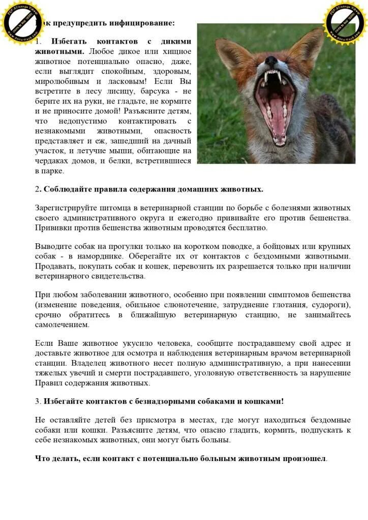 Памятка по бешенству животных для населения. Укусила собака домашняя привитая что. Что делать если укусила собака. Памятка по бешенству животных для населения. Бешенство памятка.