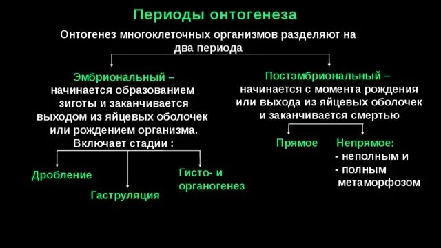 Дать определение онтогенез. Периоды развития онтогенеза. Развитие организма в эмбриональном и постэмбриональном периоде.. Периоды онтогенеза таблица эмбриональный и постэмбриональный. Онтогенез ,этапы индивидуального развития.