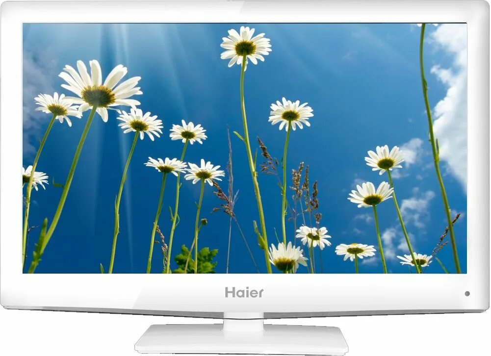 Телевизор haier ff pro. Телевизор Haier let32t1000hfm 32". Haier Let 32h350. Телевизор Haier let24t1000f 24". Телевизор Haier let42d10hf 42".