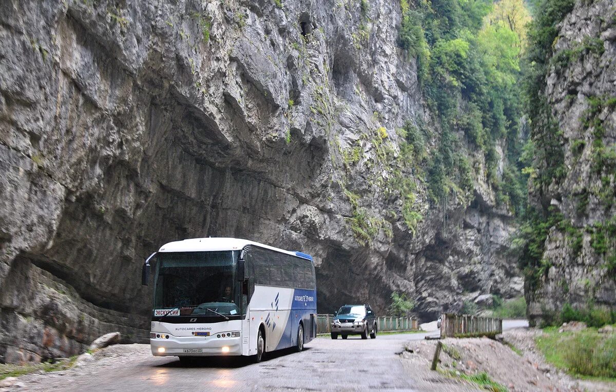 Абхазия автобусный тур 2024. Рицинский национальный парк Абхазия. Экскурсионные автобусы в Абхазии. Автобусный тур в Абхазию. Автобусные экскурсии в Абхазию.