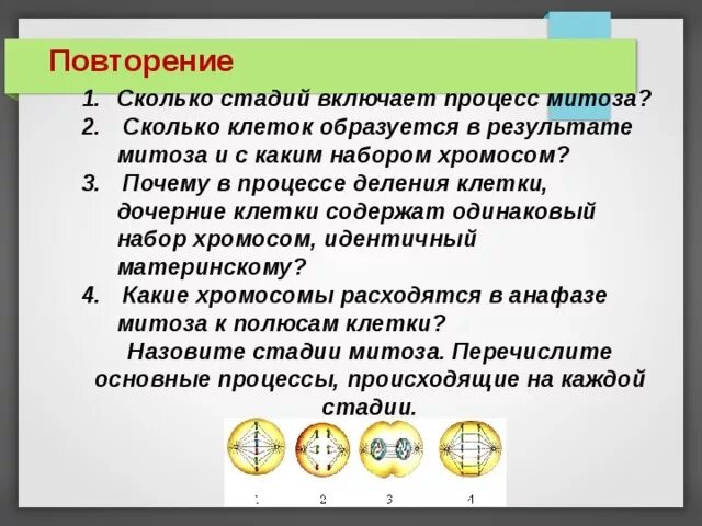 Сколько дочерних клеток образуется. Сколько клеток образуется в результате митоза. Сколько дочерних клеток формируется в процессе митоза. В результате митоза образуются клетки. Сколько клеток образуется при митозе и с каким набором хромосом.