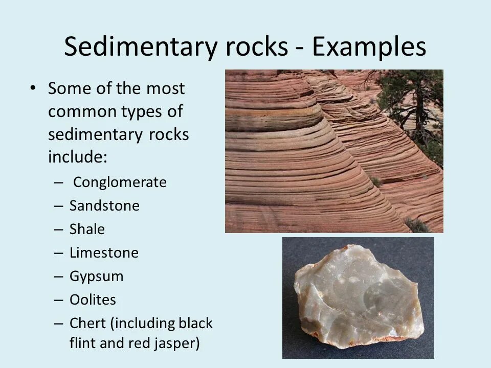 Some of the most common. Sedimentary Rocks Type. Sedimentary Rocks examples. Types of Rocks. Названия на Sandstone.