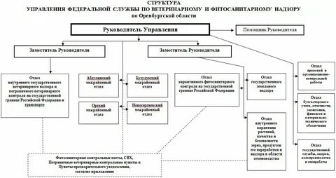 Органы управления ветеринарии