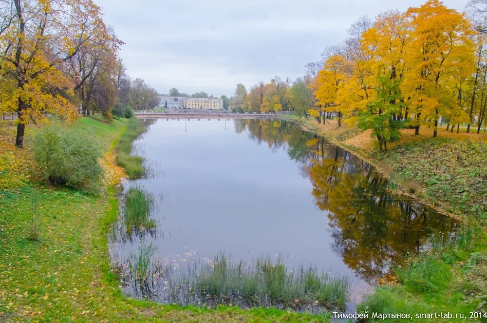 Погода в пушкине ленинградской. Царское село город. Верхняя ванна в екатерининском парке внутри. Пруд в городе пушкин. Пушкино ленинградская область.