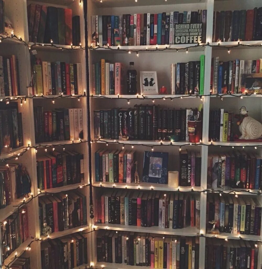 В книжном шкафу было 120 книг. Полка для книг. Стеллаж для книг. Полка книжная. Книжный стеллаж Эстетика.